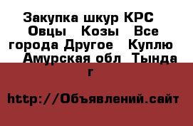 Закупка шкур КРС , Овцы , Козы - Все города Другое » Куплю   . Амурская обл.,Тында г.